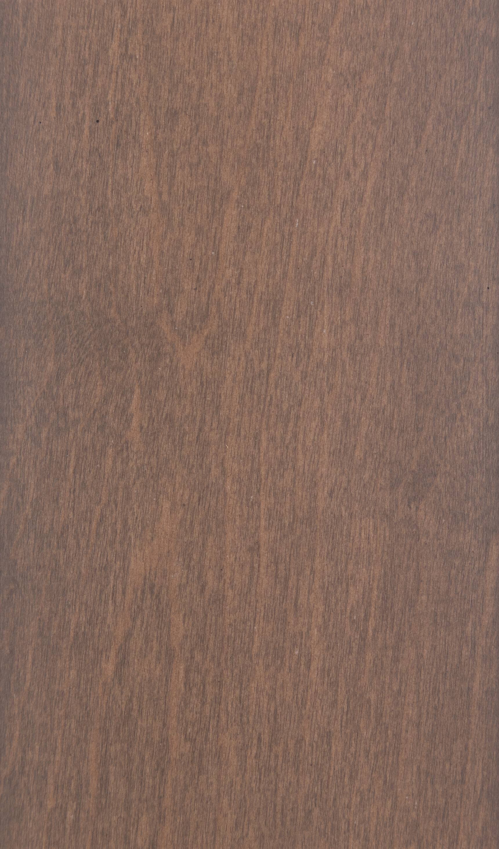 Sanibel maple